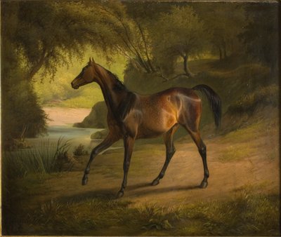 Antonia de Fritz Thomsen