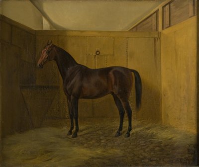 Bruno de Fritz Thomsen