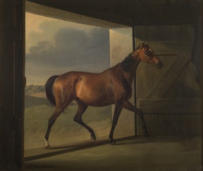 Jutta de Fritz Thomsen