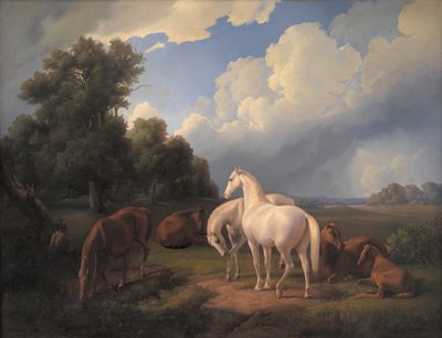 Lucia, Whimsey, Bellona, Hertha, Olga de Fritz Thomsen