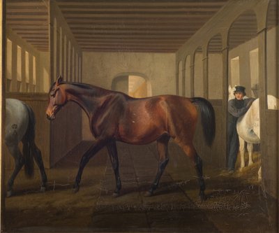 Rosetta de Fritz Thomsen