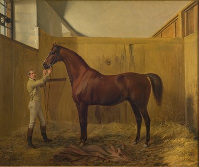 Rubini de Fritz Thomsen