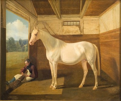 Svanhvide de Fritz Thomsen