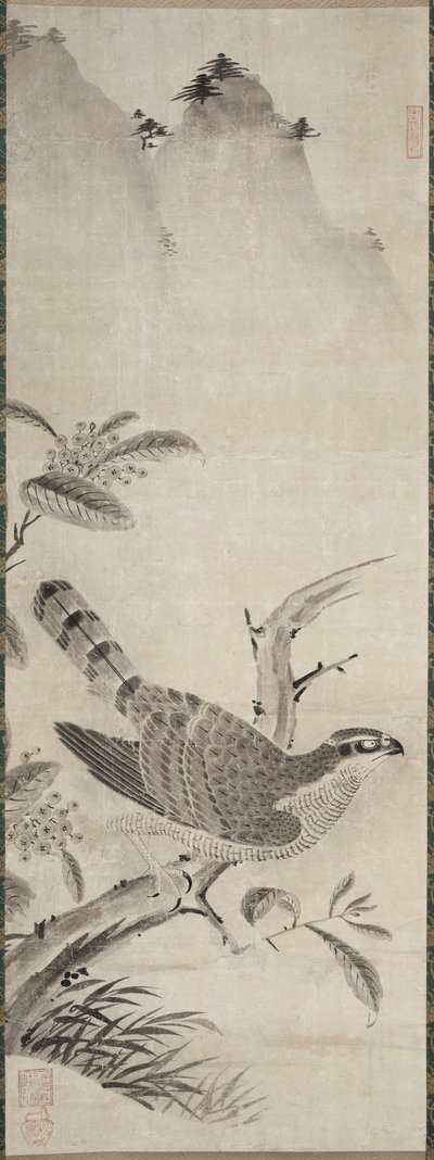 Hawk de Fujiwara Masayoshi