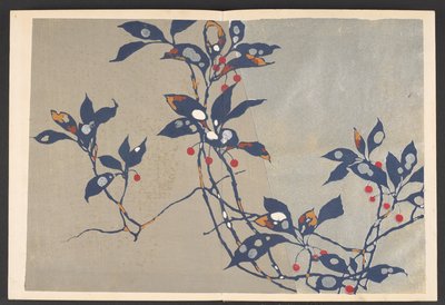 Shasei sôka môyô, Patrones de plantas y flores de la vida de Furuya Korin
