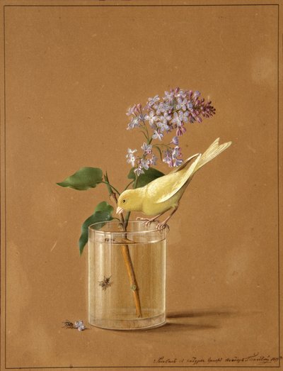 Pájaro canario en una ramita de lila, 1819 de Fyodor Petrovich Tolstoy