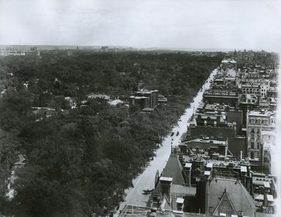 Quinta Avenida, mirando al norte desde el techo del Metropolitan Club en la Calle 61, Ciudad de Nueva York, c.1904 de G.P. Hall und Sohn