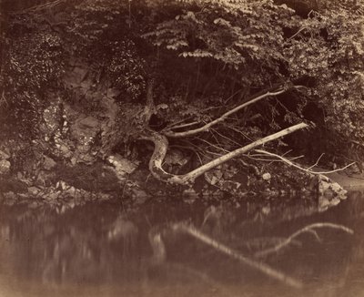 Ribera del río en el Valle de Neath de G. B. Gething