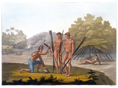Tribus Patacho de G. Bramati