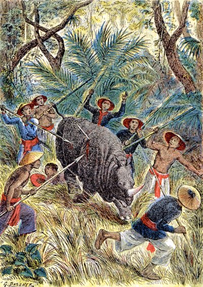 Caza de rinocerontes, Indochina francesa, c.1900 (ilustración) de G. Dascher