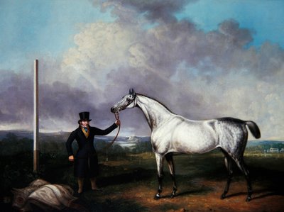 Caballero sosteniendo un caballo de carreras gris en un curso de G. Jackson