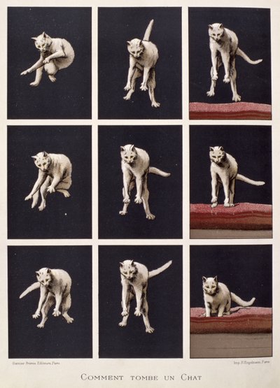 Cómo cae un gato, de Les Dernieres Merveilles de la Science por Daniel Bellet de G. Lasellaz