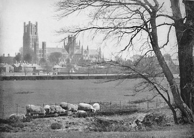 Catedral de Ely, c1896 de G. W. Wilson and Company
