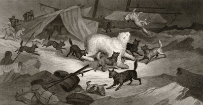 Caza de osos, grabado por J.C. McRea, de 