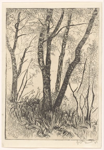 Árboles en la hierba alta de G. van der Mey (signed by artist)