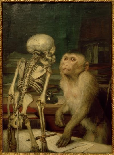 Mono frente a esqueleto de Gabriel Cornelius Ritter von Max