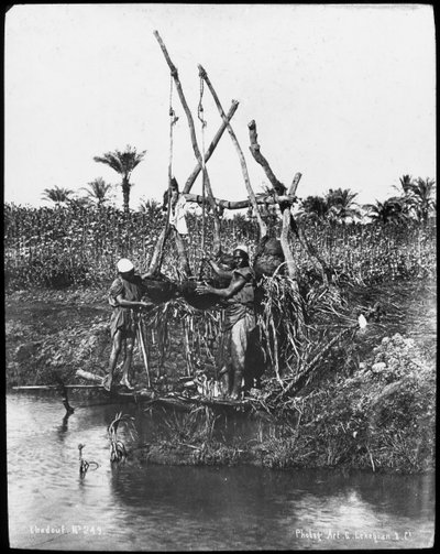 Un shaduf en el Nilo, Egipto, c1890 de Gabriel Lekegian
