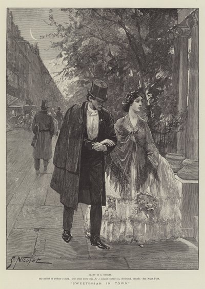 Escaramujo en la ciudad de Gabriel Nicolet