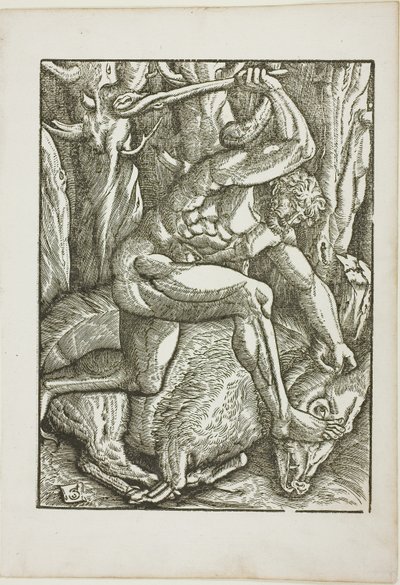 Los trabajos de Hércules: Hércules sometiendo al jabalí de Erimanto de Gabriel Salmon