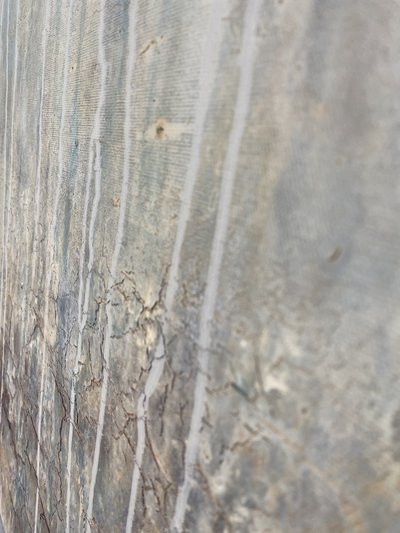  de Gabriela Aleksandra Szuba