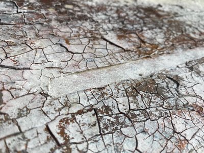  de Gabriela Aleksandra Szuba