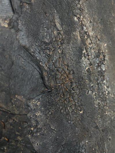  de Gabriela Aleksandra Szuba