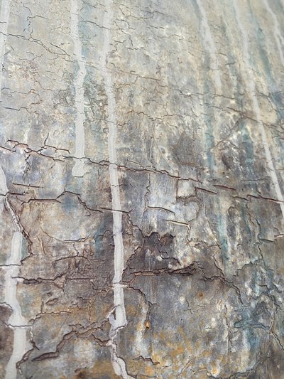  de Gabriela Aleksandra Szuba