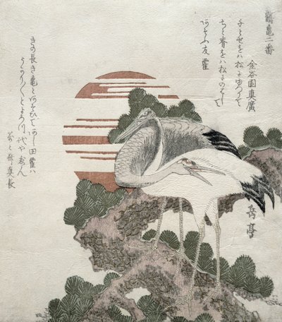 Grulla (Tsuru) de la serie 2 diseños de Grullas y Tortugas, 1818-30 de Gakutei Harunobu