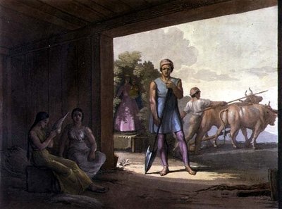 Jesuitas Indios de Gallo Gallina