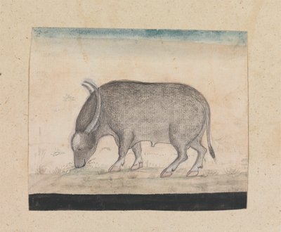 Un Waterbuffalo de Gangaram Chintaman Tambat