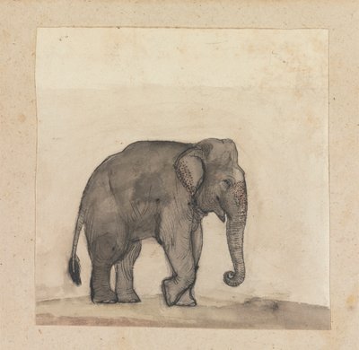 Elefante de Gangaram Chintaman Tambat