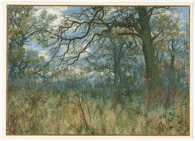 Árboles y Maleza, 1885 de Garden William Fraser