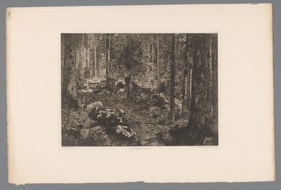 Paisaje forestal
Les sapins du Doubs (título en el objeto)
Grabados franceses de 1876 (título de la serie)
L