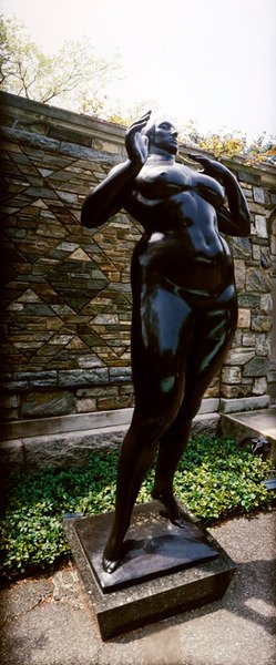 Mujer de pie (Elevación) de Gaston Lachaise