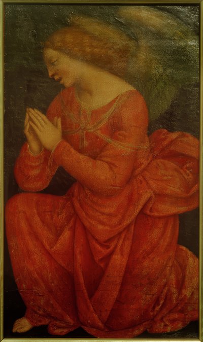 Ángel adorador de Gaudenzio Ferrari