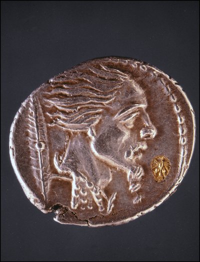 Presunto perfil de Vercingetorix en una pieza gaulesa. Museo del Medagliere. Milán de Gaulish Gaulish