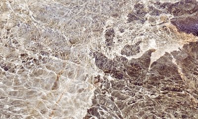 Motivos de agua dorada de Gemma Bardot