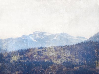 El bosque de Misty Mountain de Gemma Bardot