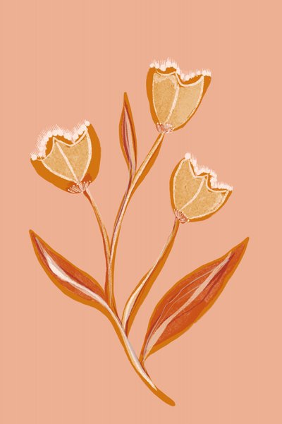 Flores de melocotón en tonos suaves de Gemma Bardot