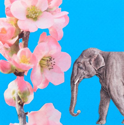 Flor de elefante, 2018, collage de Genevieve French