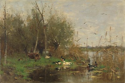 Patos junto a un refugio para patos en una zanja de Geo Poggenbeek