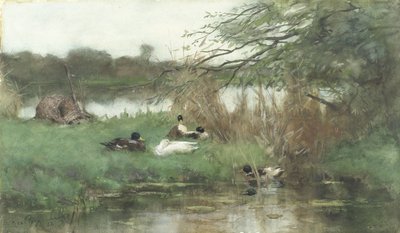 Patos a la orilla del agua de Geo Poggenbeek