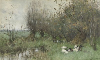Patos cerca de un bosquecillo de sauces de Geo Poggenbeek