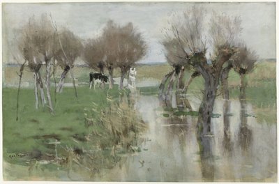 Agua alta en la pradera de Geo Poggenbeek