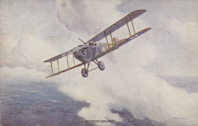 Avión de combate Sopwith Dolphin (litografía en color) de Geoffrey (after) Watson