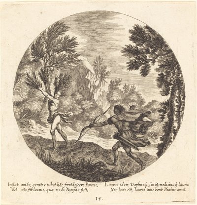 Dafne Convertida en Laurel de Georg Andreas Wolfgang the Elder