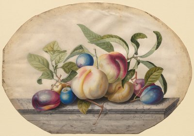 Arreglo de frutas: melocotones y ciruelas sobre una losa de mármol de Georg Dionysius Ehret
