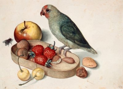 Naturaleza muerta con periquito de Georg Flegel