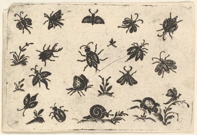 Pequeños motivos de insectos y plantas de Georg Herman