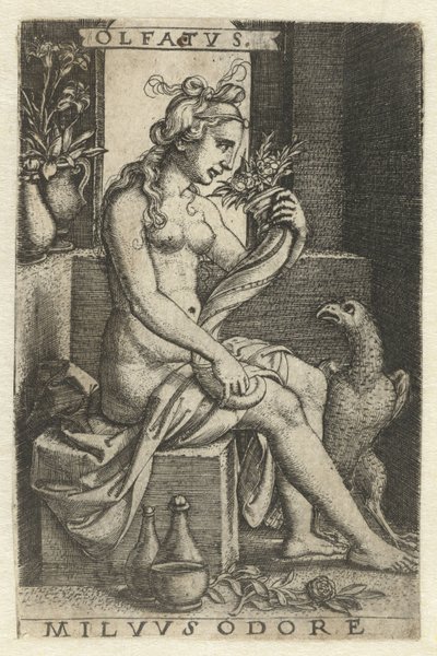 Reuk (Olfactus)
Olfatvs milvvs odore (título del objeto)
Vijf Zintuigen (título de la serie) de Georg Pencz